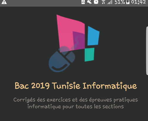 Bac Informatique